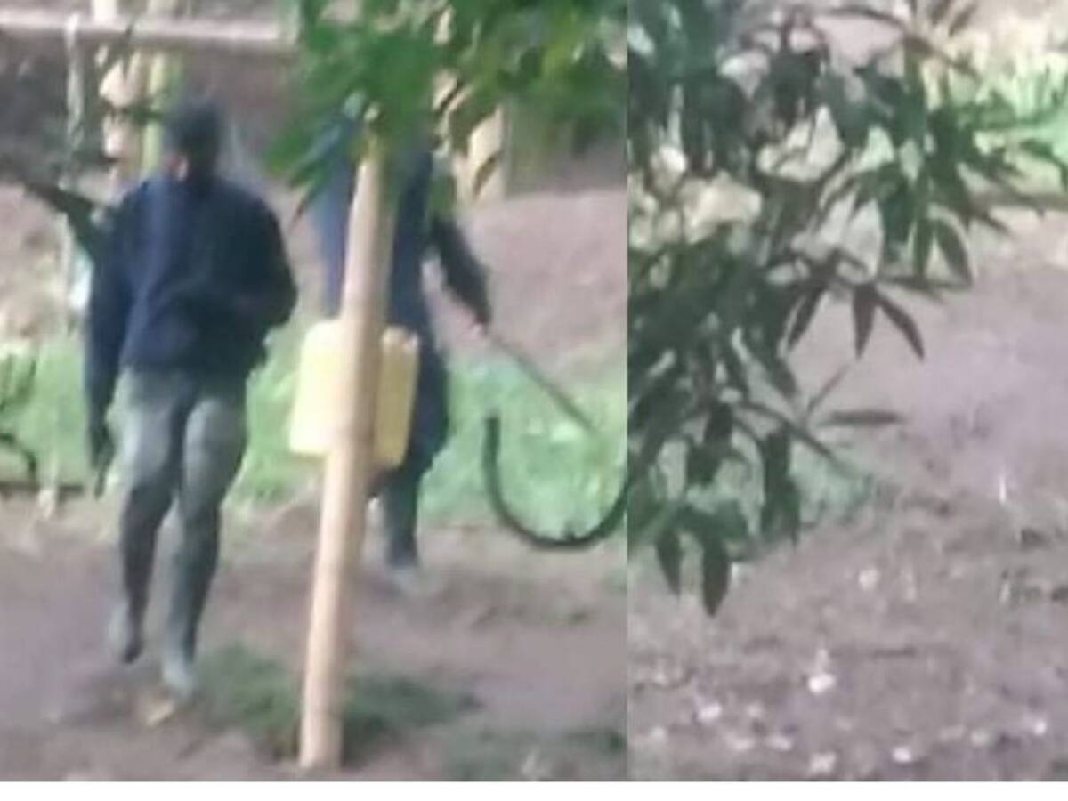 Propietario de 'La Mulita' confirmó que sí contrató personal armado