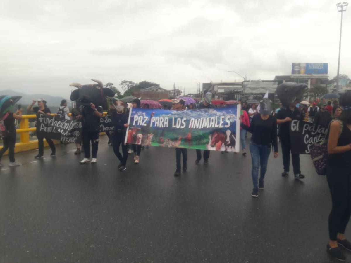 Las fundacionea animalistas también marcharon por la vida