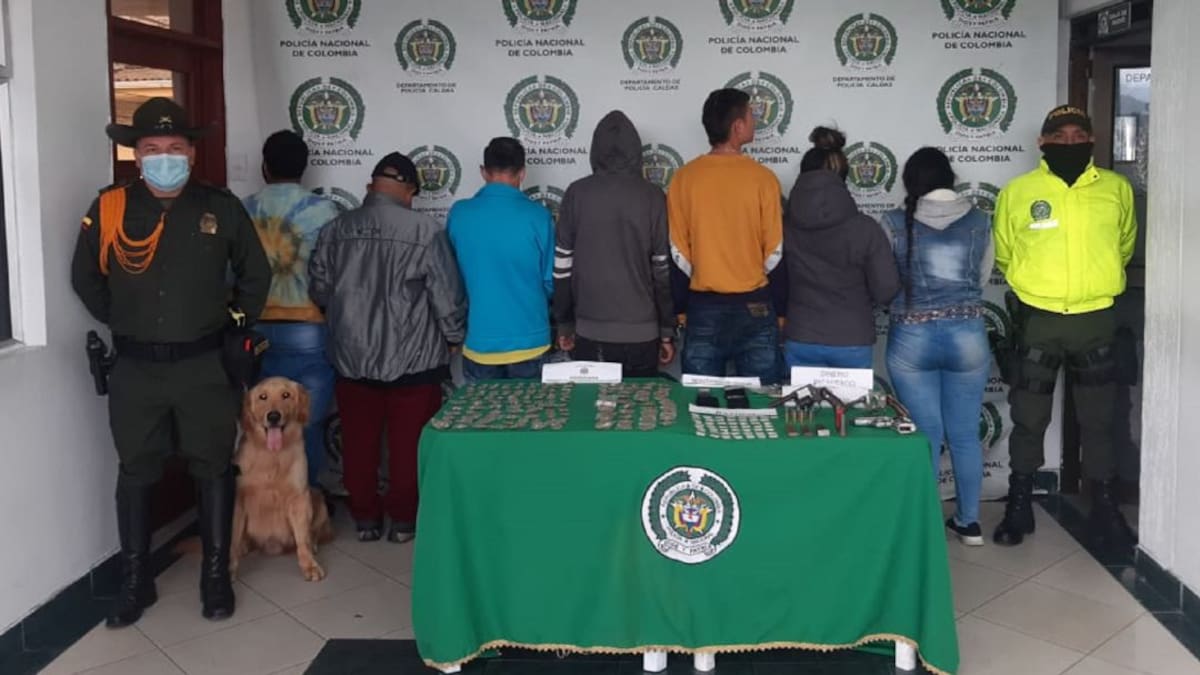 4 allanamientos y 7 capturas es el resultado de la operación Cosecha
