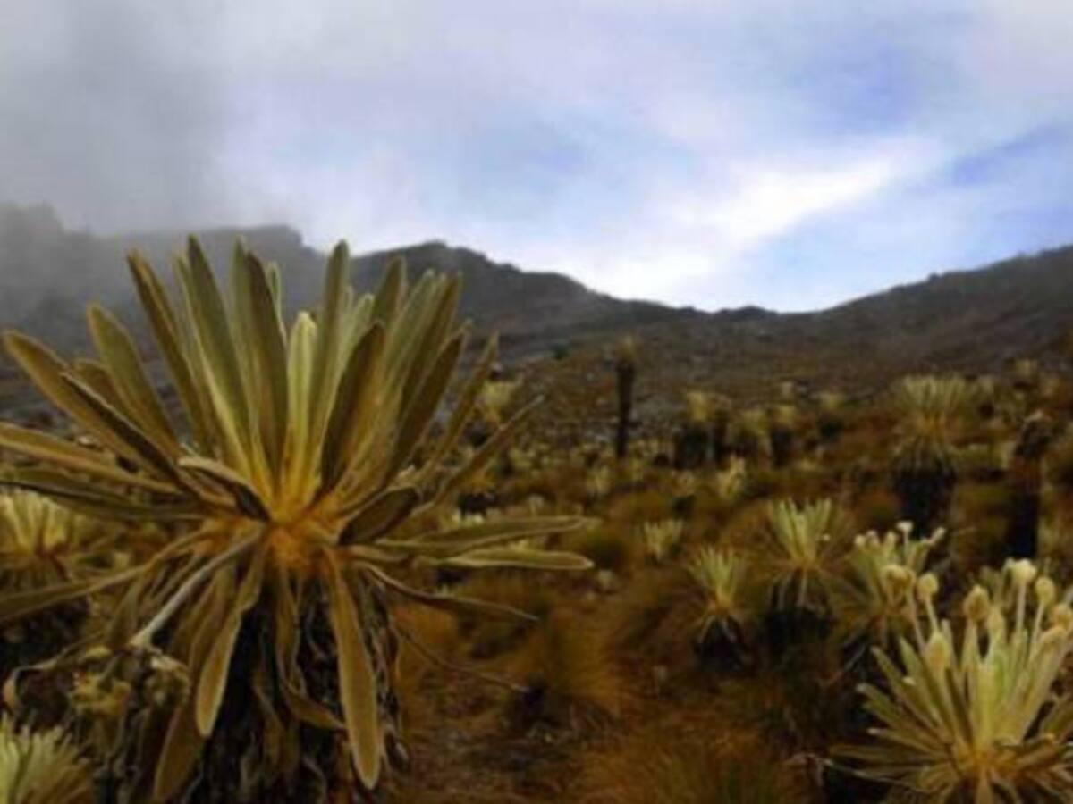 Risaralda es un paraíso ambiental que se debe cuidar