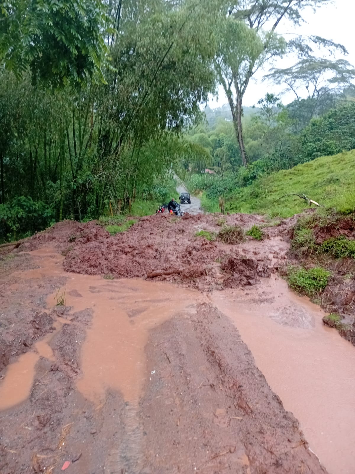 Derrumbe bloquea el paso vehicular. Fotos suministrada.