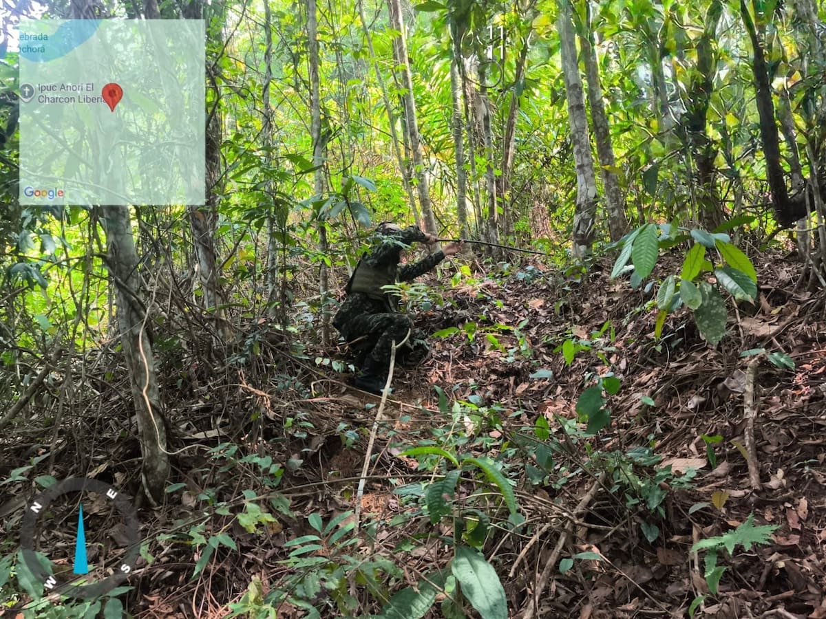 El Ejército destruyó cuatro explosivos instalados por el ELN en zona rural de Anorí