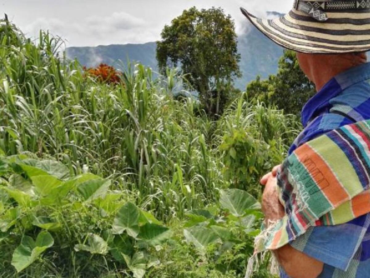 Unos 150 campesinos protestan por erradicación de cultivos en Antioquia