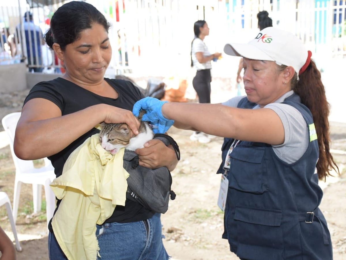 Jornada de aseguramiento en salud y atención integral benefició a 748 personas en Cartagena