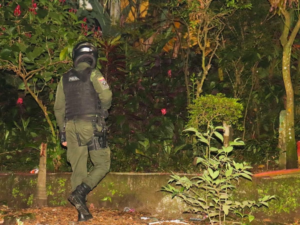Armas, marihuana y otros elementos incautados en operativo en las calles de Ibagué