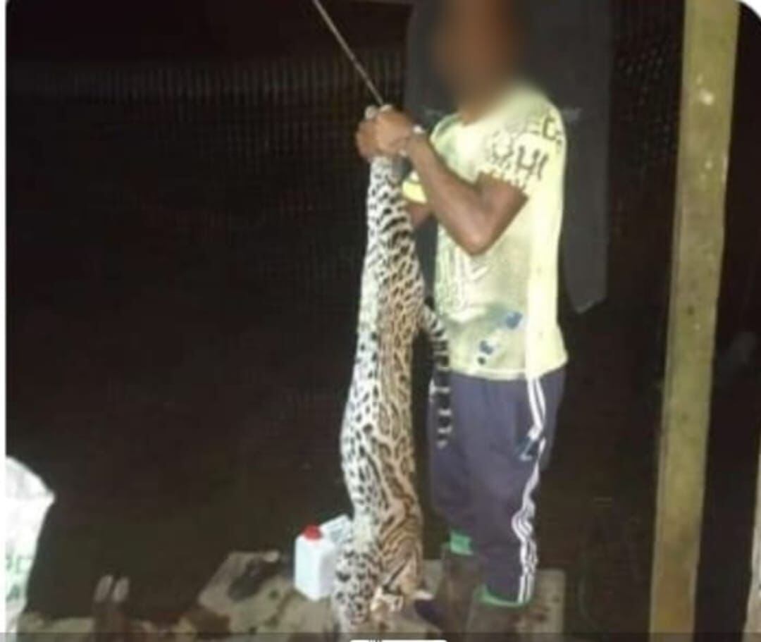 Óscar David Rodríguez Pai, imputado por la Fiscalía como presunto responsable de maltrato animal y aprovechamiento ilícito de recursos naturales | Foto: Policía Nariño