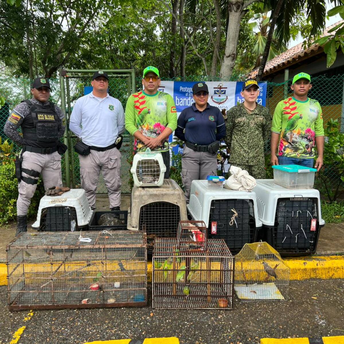 EPA Cartagena atendió 2.661 animales silvestres en el CAV durante el 2025