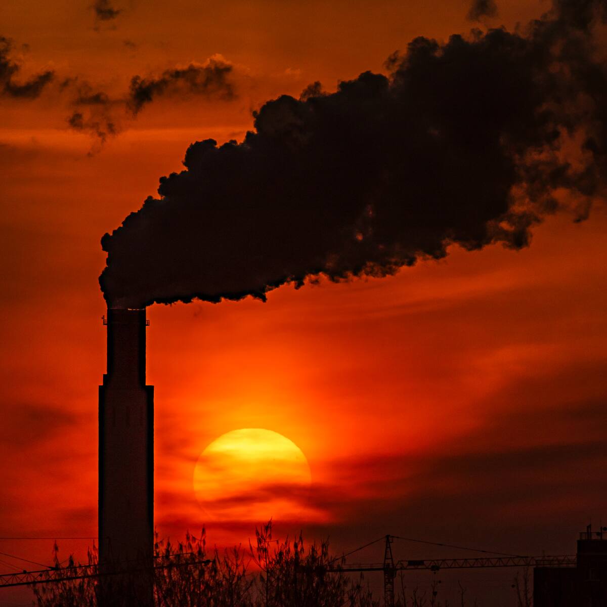 La ONU advirtió que el mundo va “a paso de tortuga” contra el cambio climático