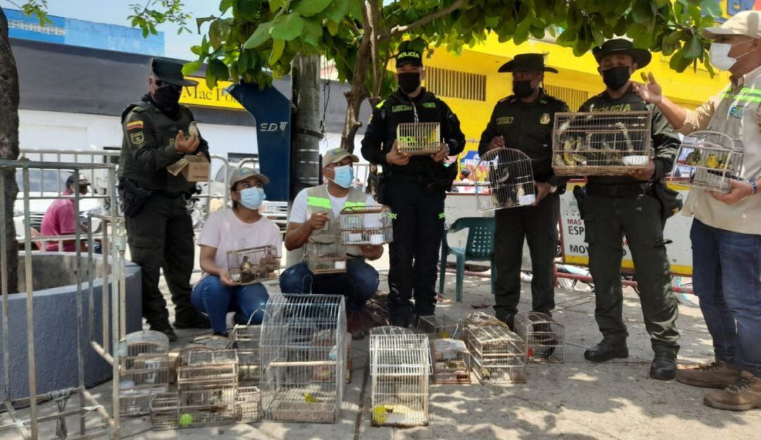 El local comercial donde fueron halladas no tiene razón social y se encontraba sin administrador o propietario