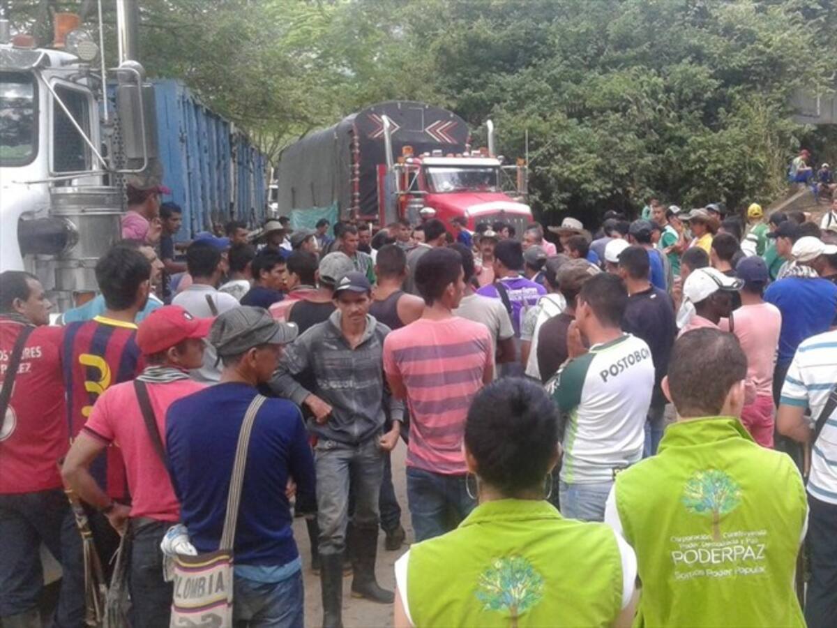 Campesinos del Catatumbo exigen diálogo con el Gobierno Nacional