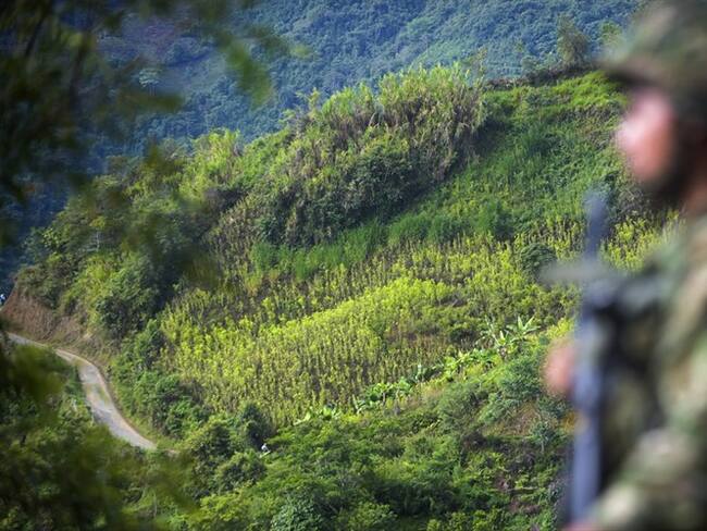 Alcaldes piden al Gobierno Petro atender la grave situación del suroccidente colombiano