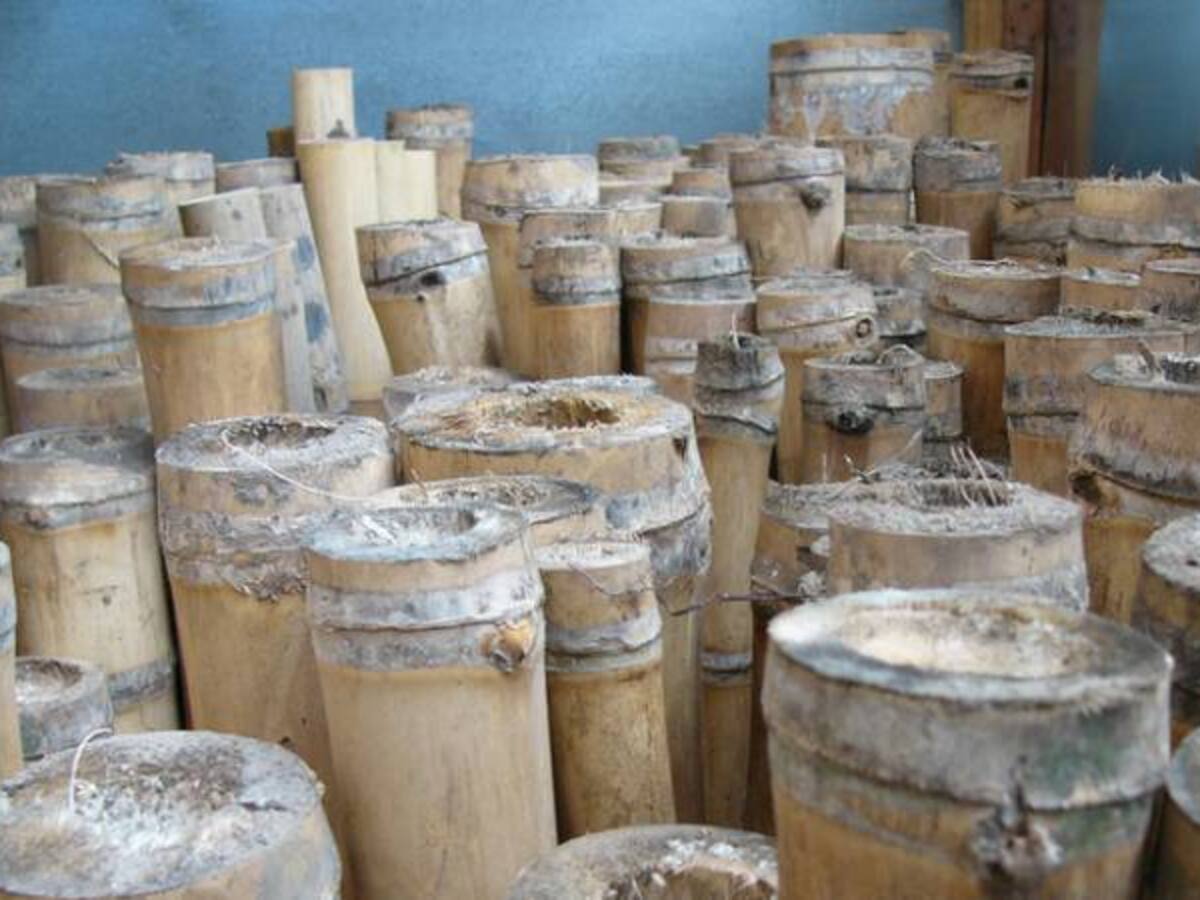 Viviendas de guadua para habitantes de calle en Bogotá