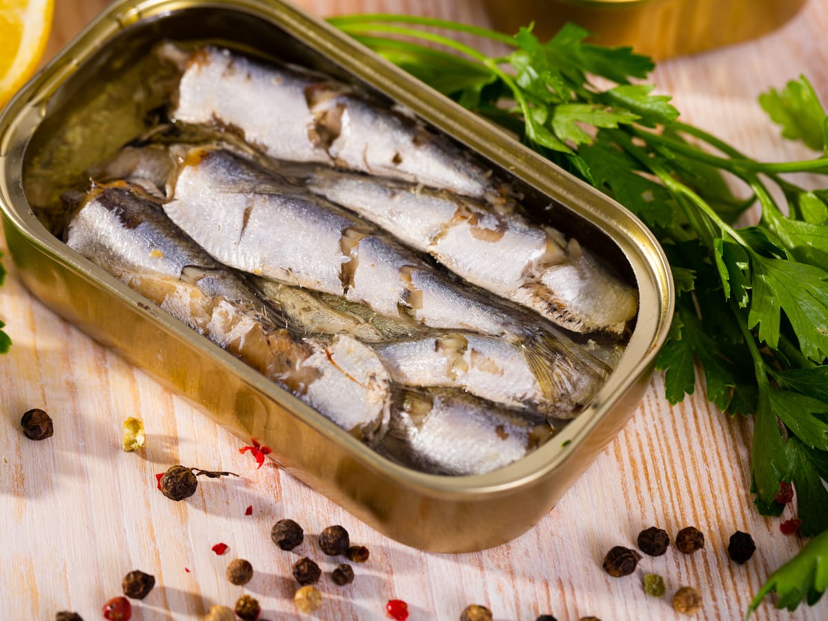 ¿Qué beneficios tiene comer sardinas en lata? Esto dicen expertos de Harvard