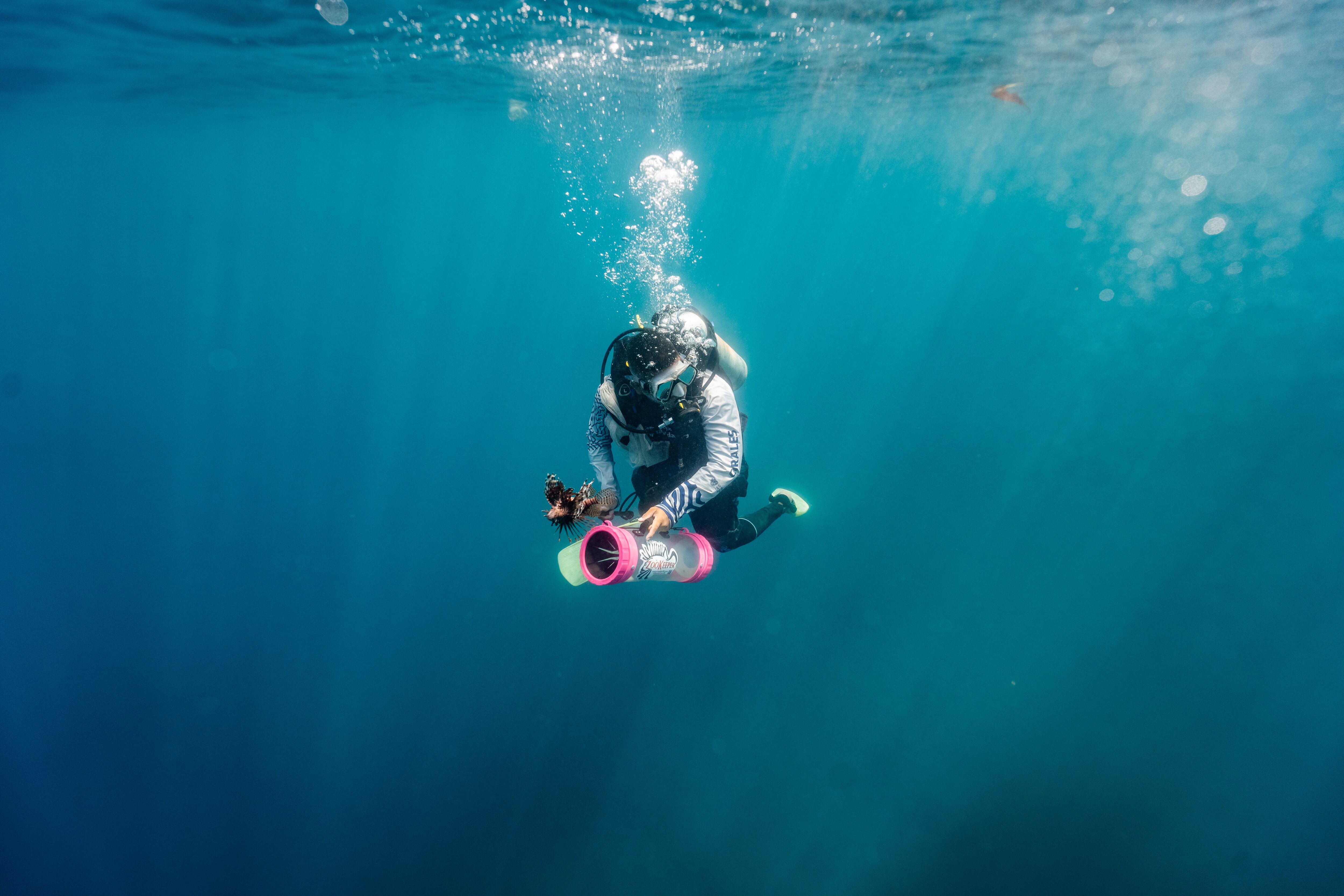 Copa del pez león, actividad de la Semana de los Océanos . Centro de Vida Marina de Santa Marta