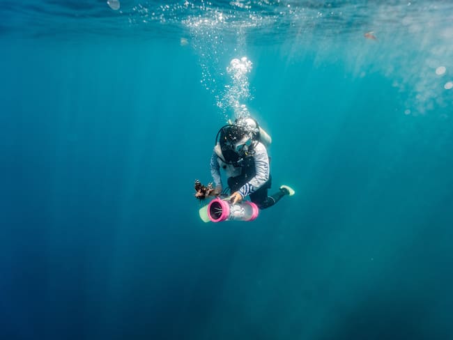 Copa del pez león, actividad de la Semana de los Océanos . Centro de Vida Marina de Santa Marta