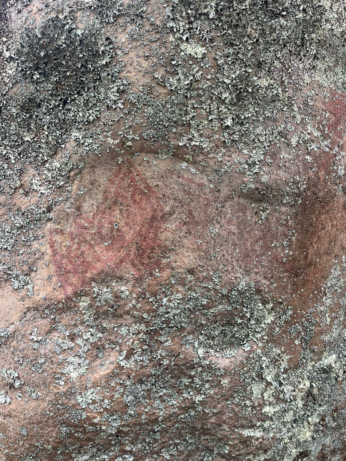 Se reconocieron zonas de ocupación prehispánica, fragmentos de cerámica y paneles con pinturas rupestres