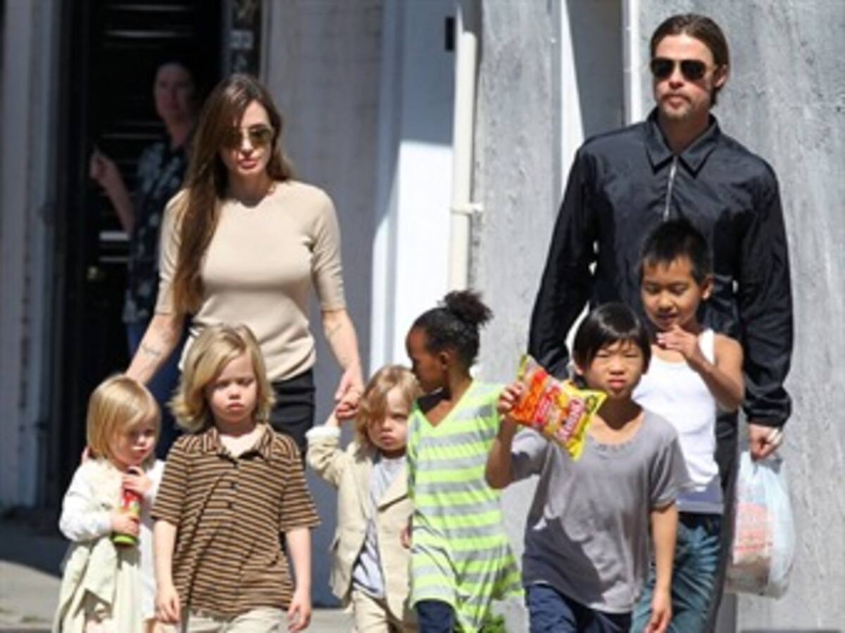Brad Pitt construye un zoo doméstico para sus hijos