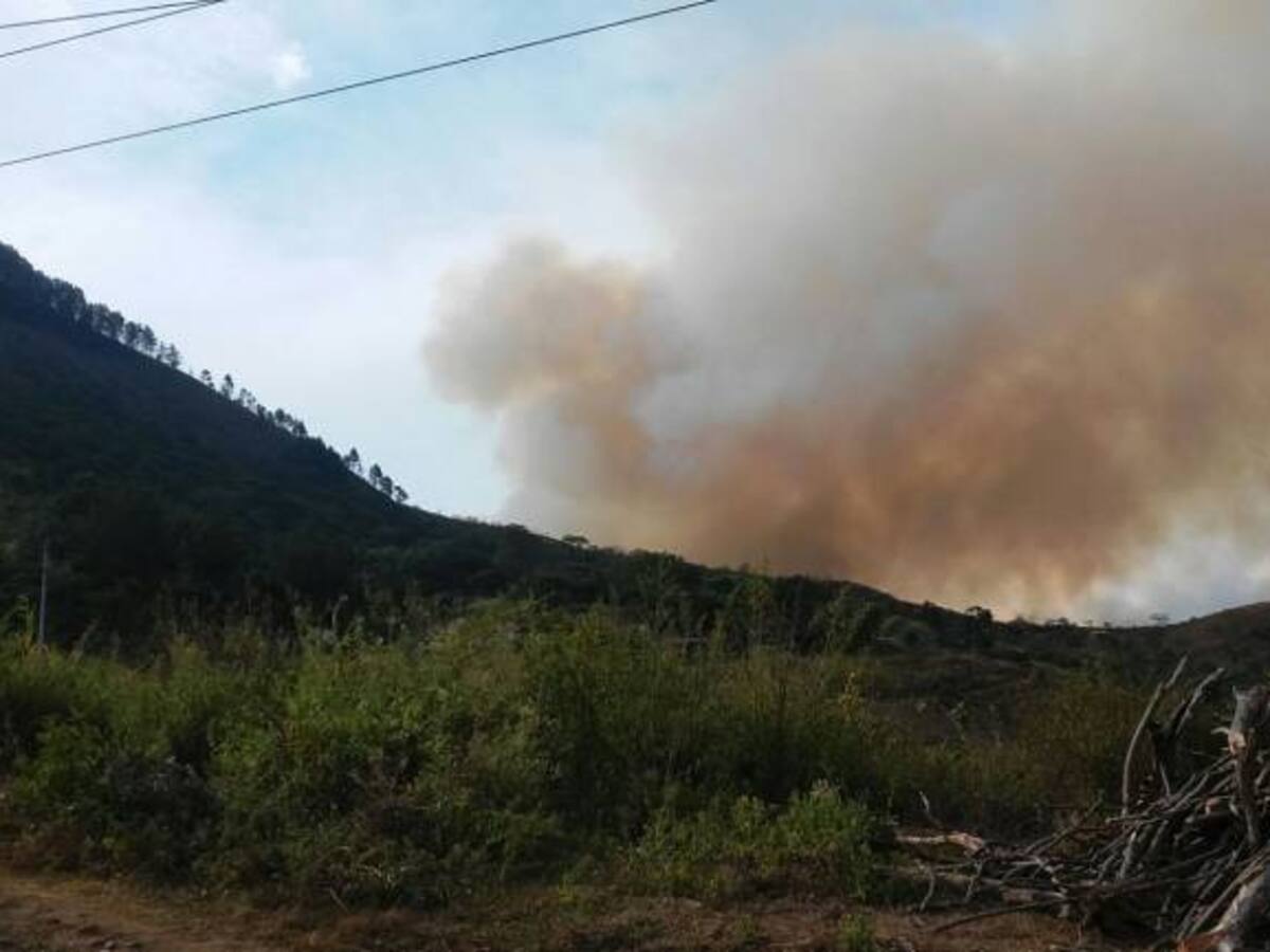 El Valle del Cauca bajo "Calamidad Pública" por incendios forestales