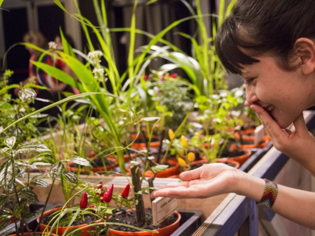 Comer: Nueva exposición temporal en Parque Explora