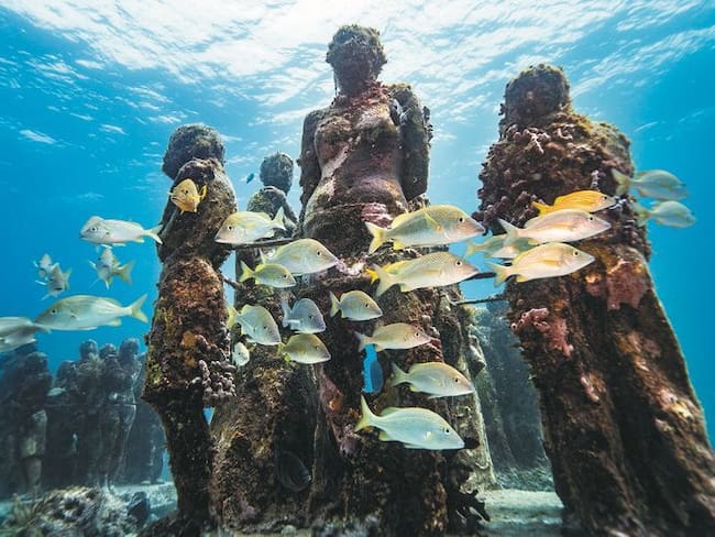 El Color Azul e IPCC programan charla sobre el papel de los arrecifes artificiales