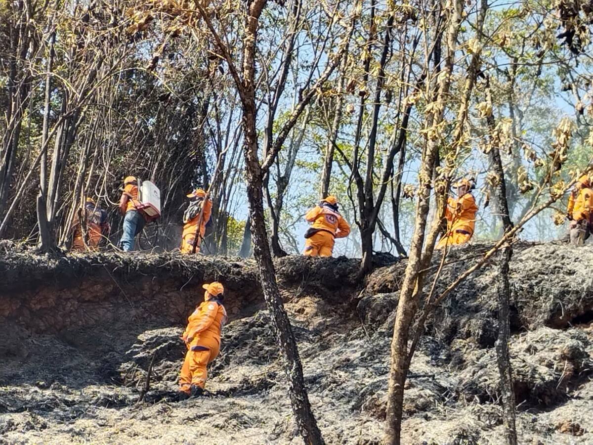 Incendios en Ruitoque y Río del Hato, Santander, ya fueron controlados