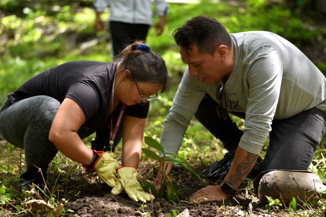 Cortesía: Gobernación del Quindío