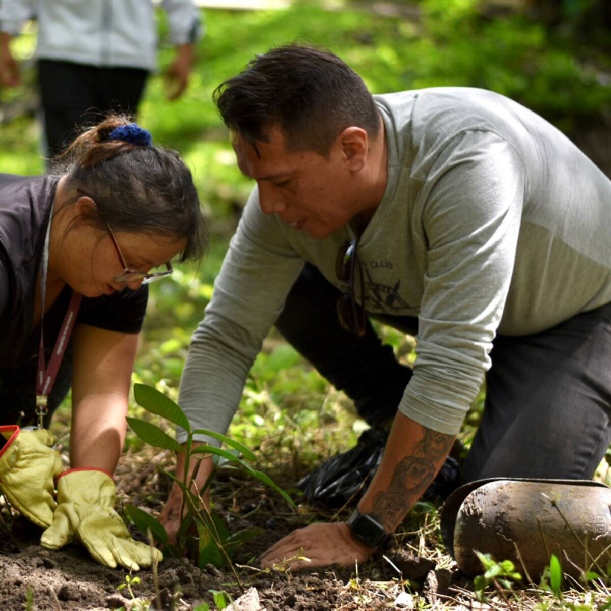 El gran reto en el Quindío: acciones contra el cambio climático