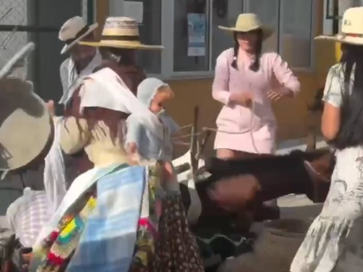 Denuncia de maltrato animal en el marco de las fiestas de Salento en Quindío