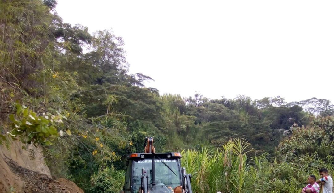 Suministrada Secretaría de Desarrollo Rural de Ibagué 