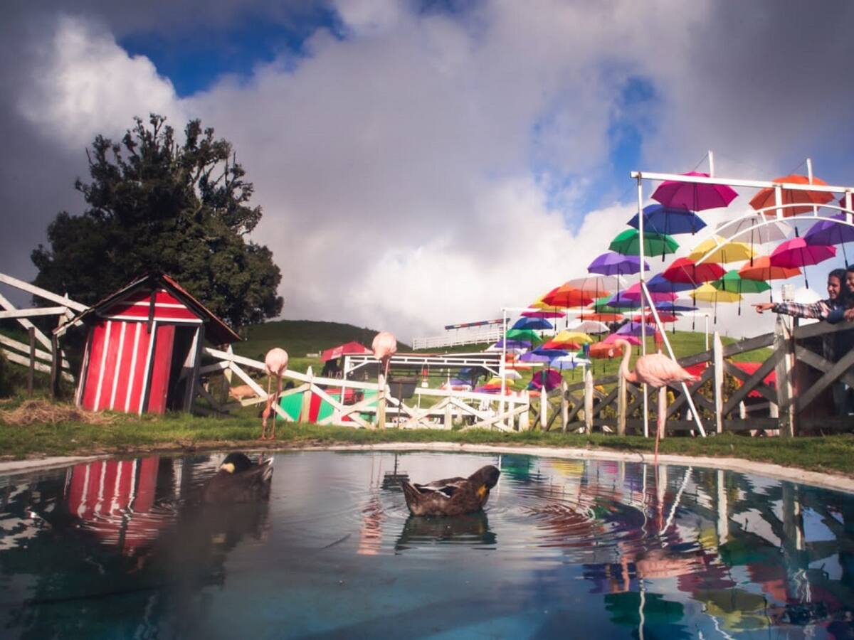 Tolima lanzó cinco experiencias en el Corazón de los Andes