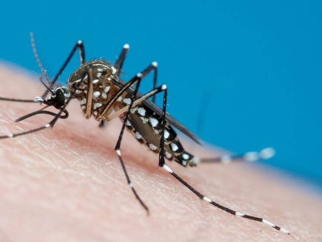 En 8 departamentos de Colombia se concentra el 66% de los casos de Dengue