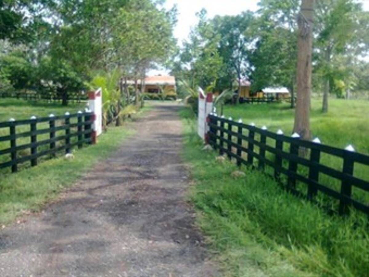 Gobierno entabló demanda para recuperar una hacienda ocupada ilegalmente por paramilitares