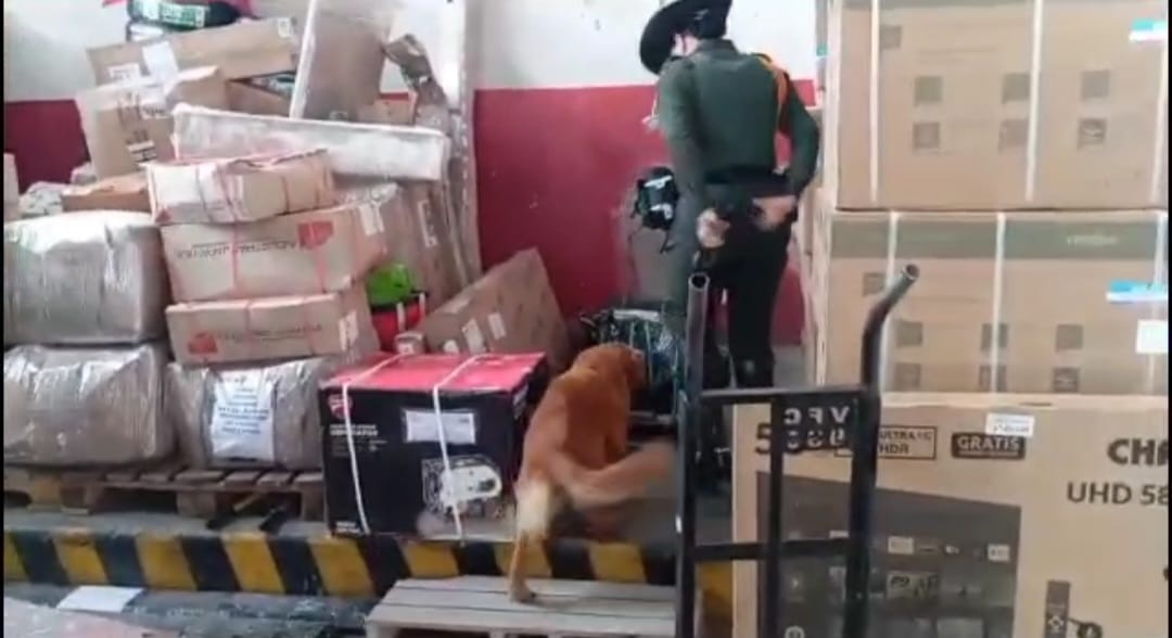 Incautan gran cantidad de munición escondida en una encomienda en Pasto. Foto: Policía Pasto