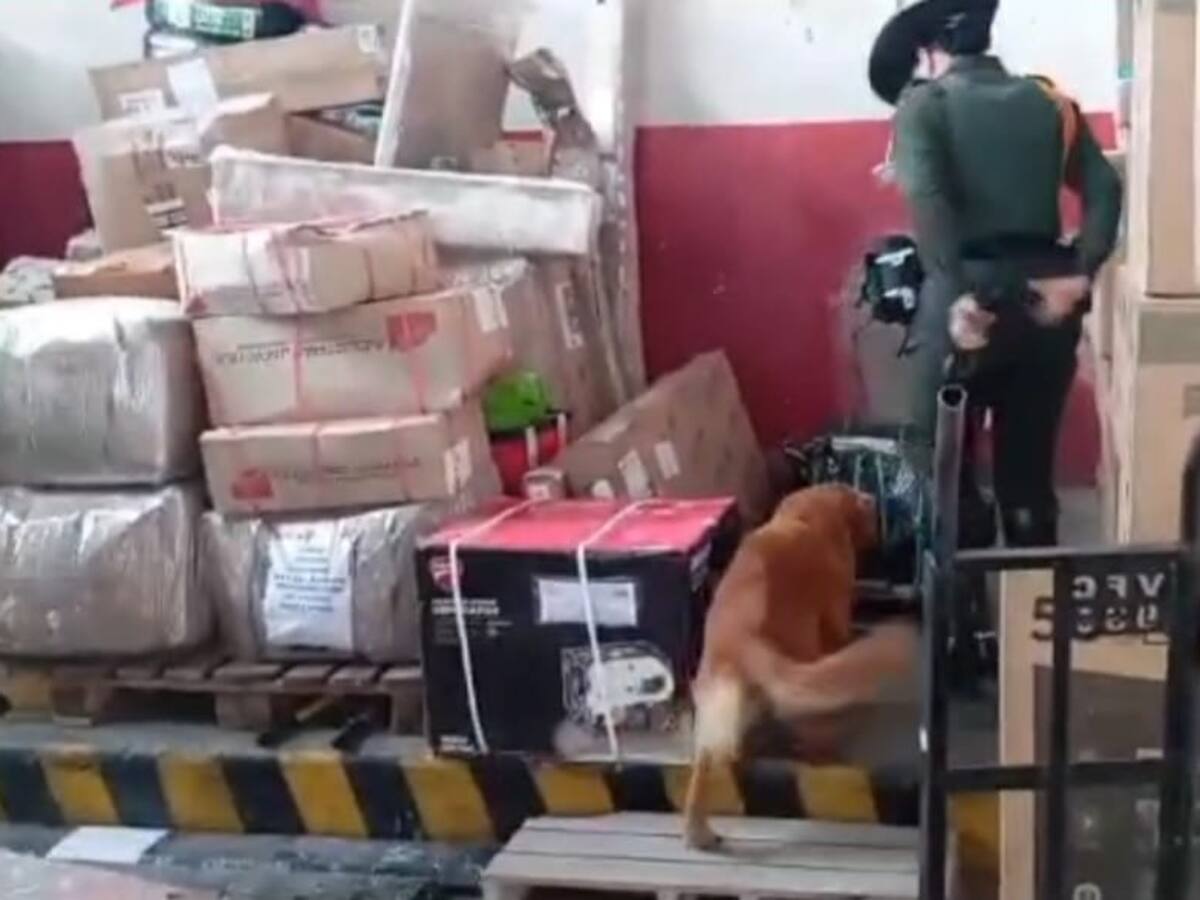 Reportan el hallazgo de gran cantidad de munición que iba con destino a Tumaco
