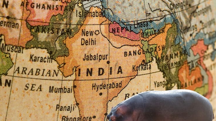 Vantara, santuario animal en la India, ofrece recibir ochenta hipopótamos colombianos: ¿es viable?