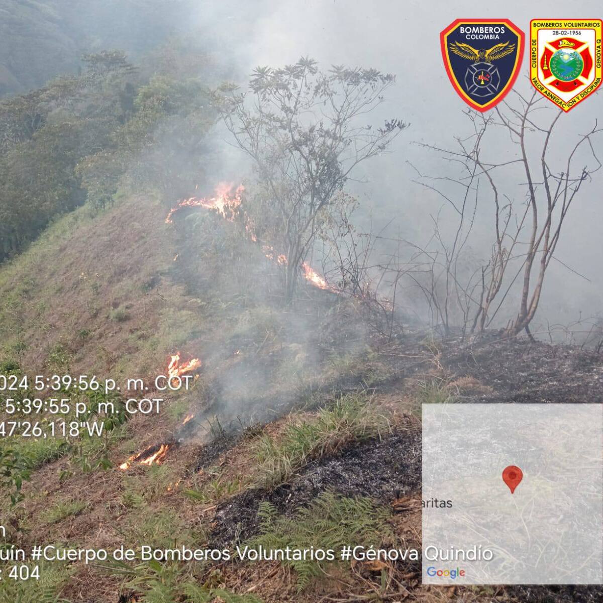 53 Hectáreas de vegetación y bosques afectadas por incendios en el Quindío: CRQ