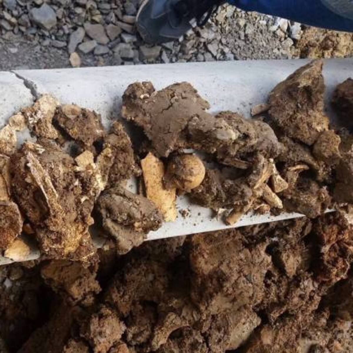 Nuevos hallazgos de tumbas muiscas en la Uptc de Tunja