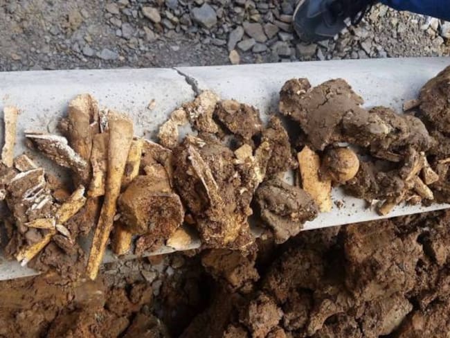 Hallan restos óseos de antiguos niños indígenas en Guateque, Boyacá