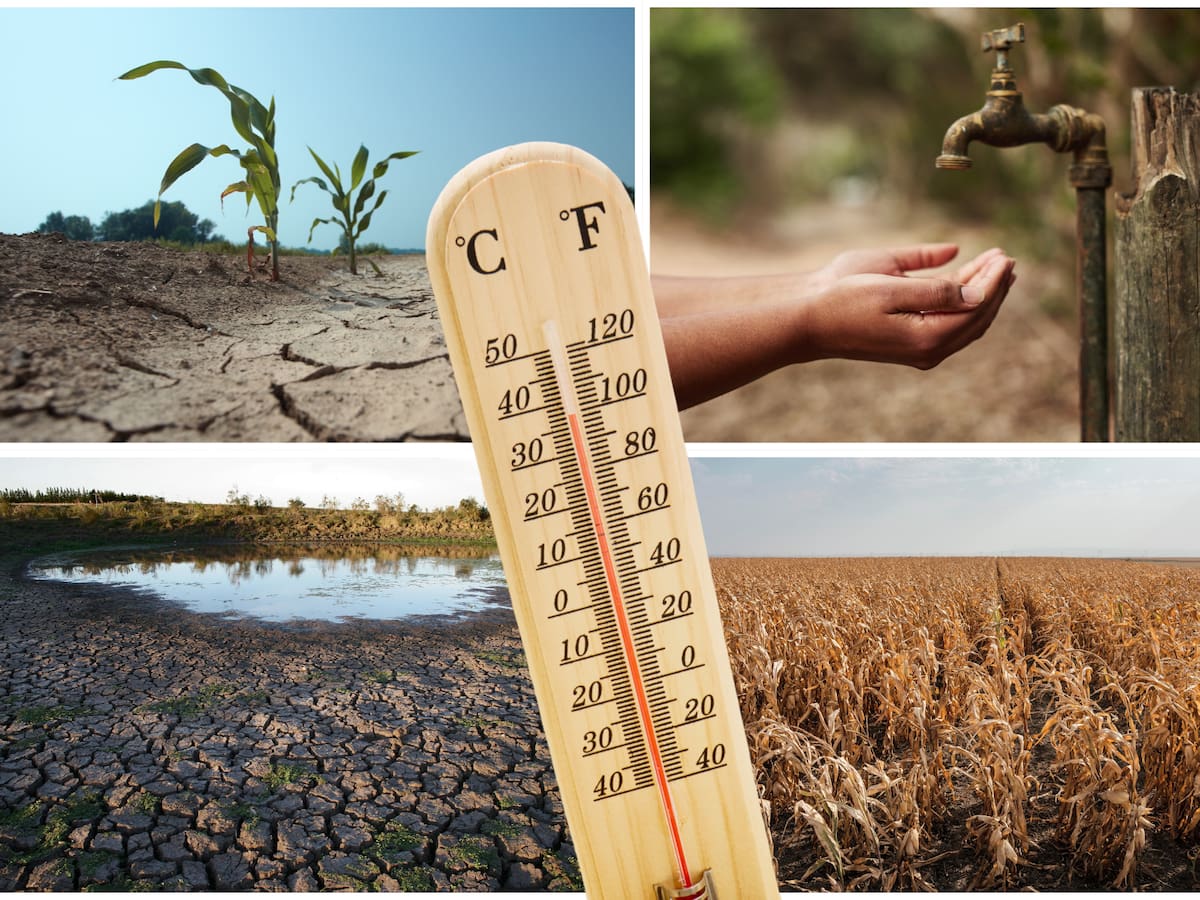 Sequías, inundaciones y calor extremo: ONU hizo alerta mundial sobre El Niño, ¿qué dijo?