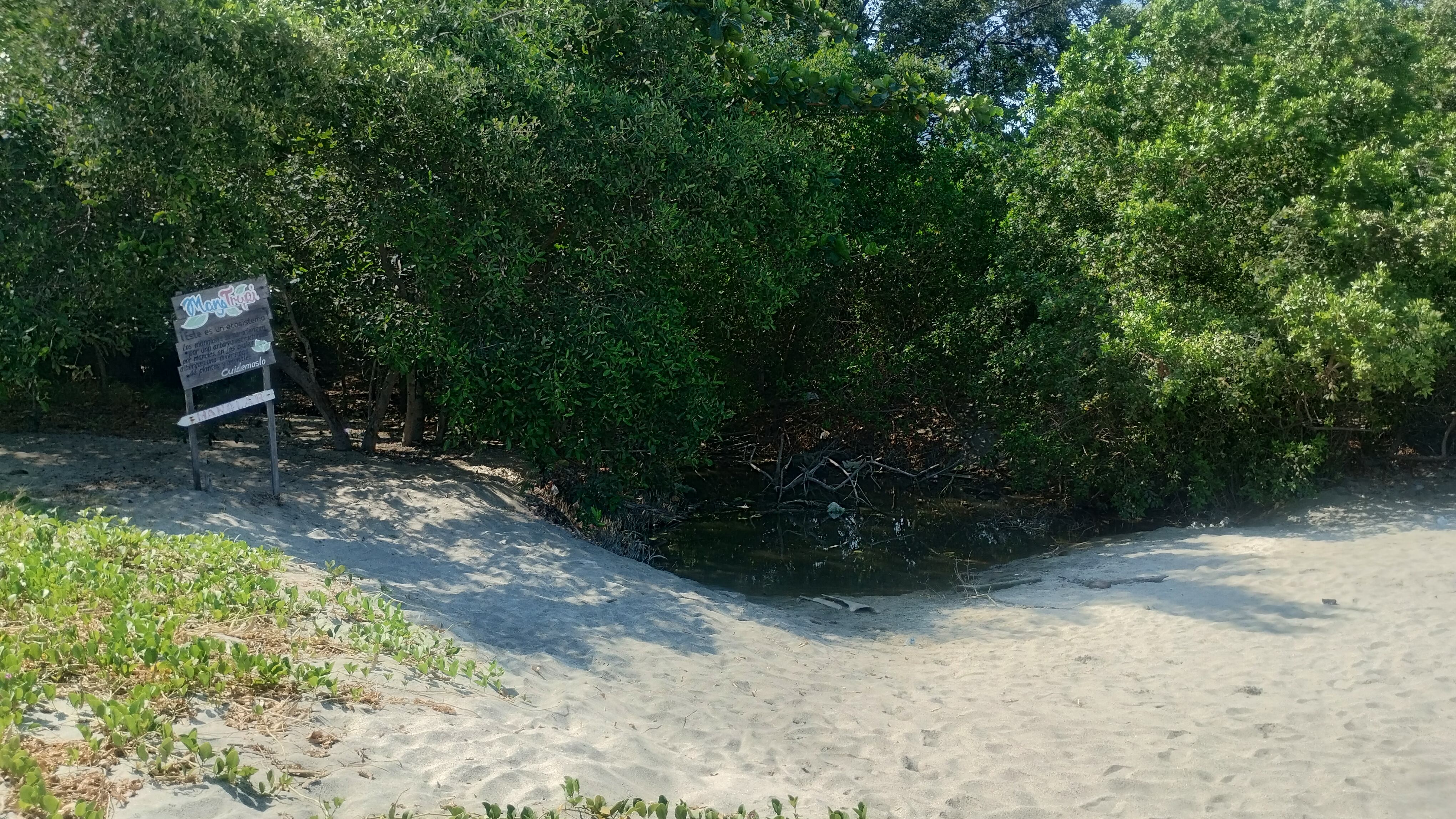 Investigadores de Unimagdalena evidencian amenazas sobre ecosistemas costeros/ Unimagdalena 