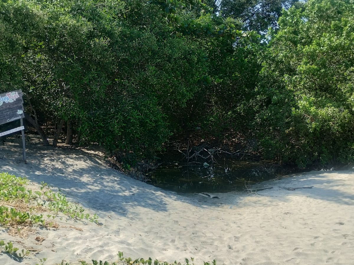 Investigadores de Unimagdalena evidencian amenazas sobre ecosistemas costeros
