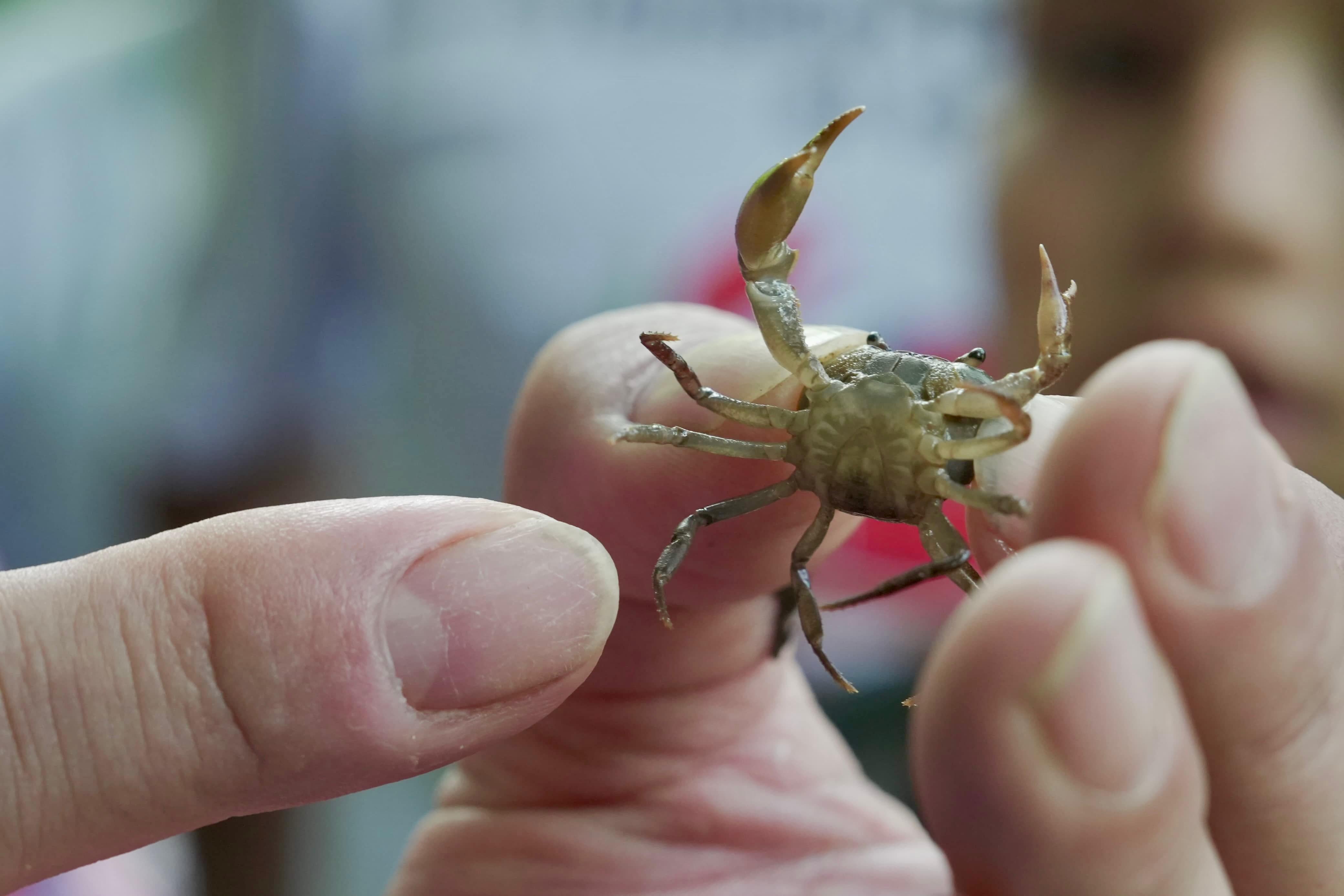 Foto: cortesía Corantioquia.