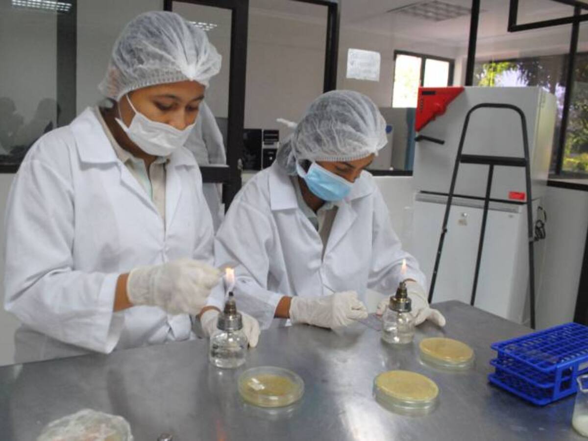 Investigación aplicada en el SENA Bolívar sube de categoría en Colciencias