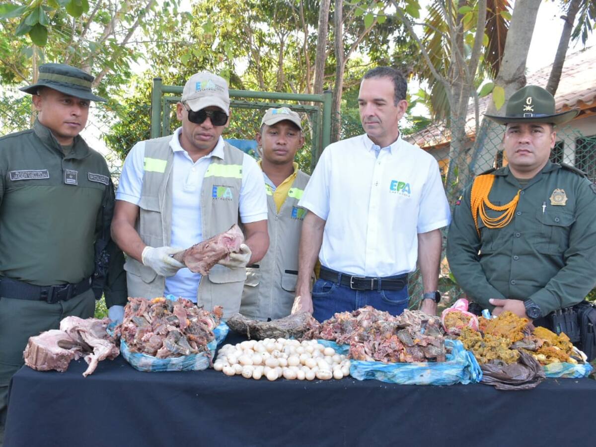 Incautaron carne de hicotea y huevos de iguana en Cartagena