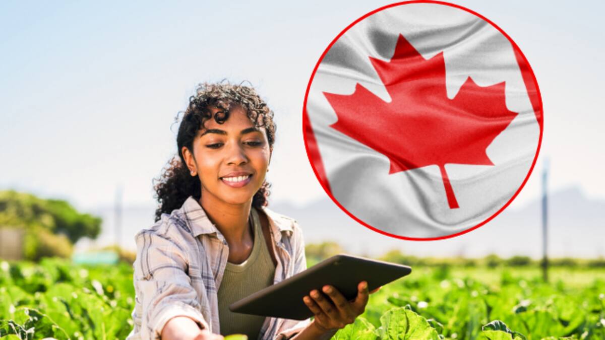 Hay vacantes en Canadá para colombianos que quieran trabajar en el campo: Salarios de $12 millones