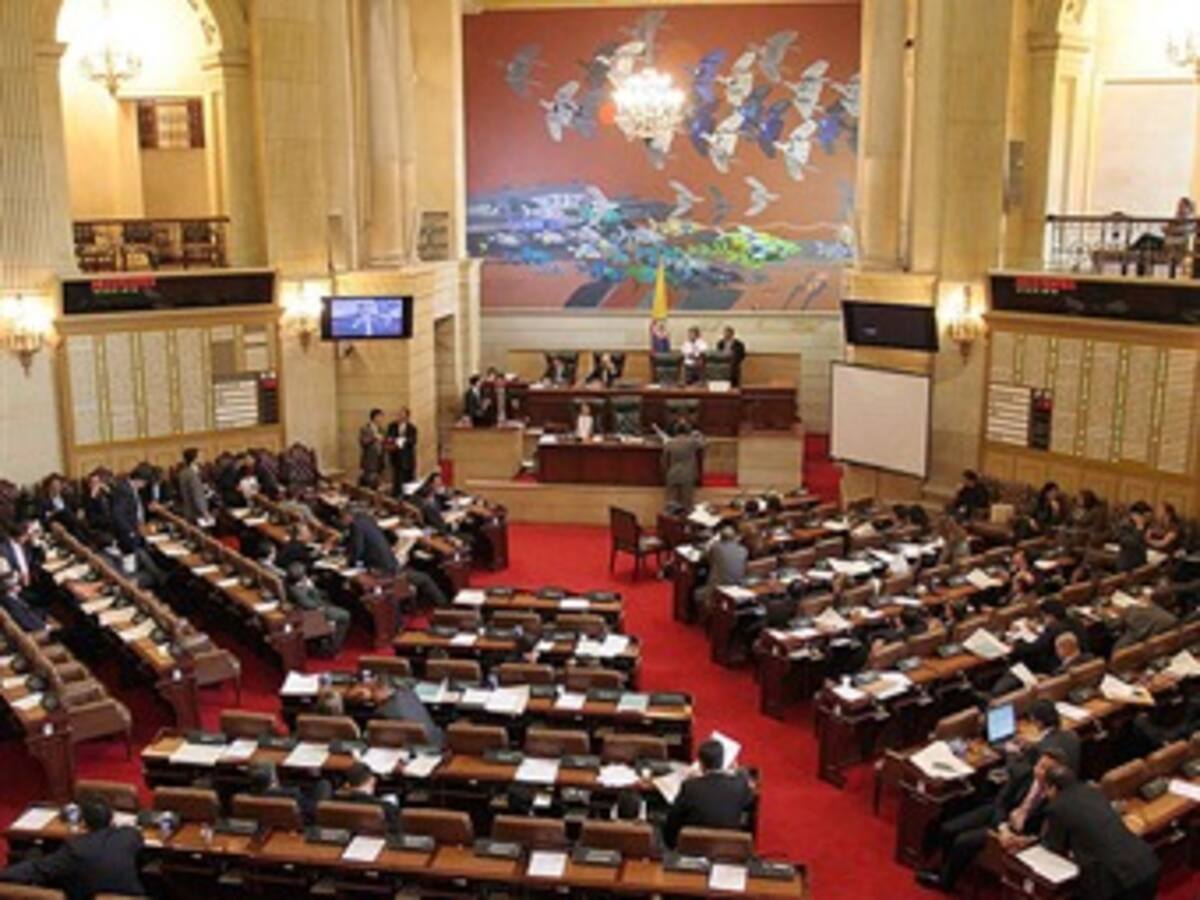 Congreso se pronunciará sobre temas “preocupantes” en Venezuela