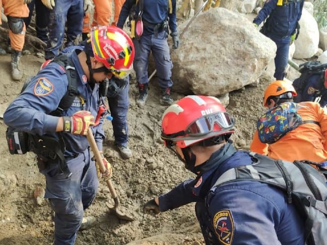 Imagen de referencia