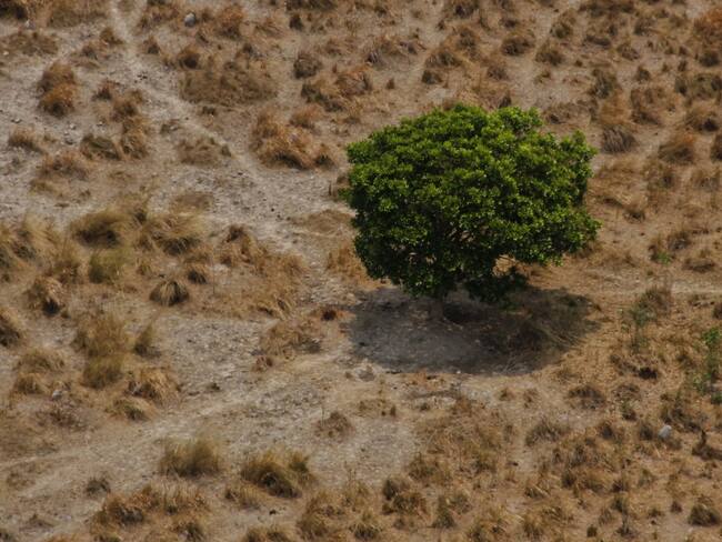 Imagen de archivo que recuerda una tragedia ambiental en Casanare generada por el Cambio Climático.