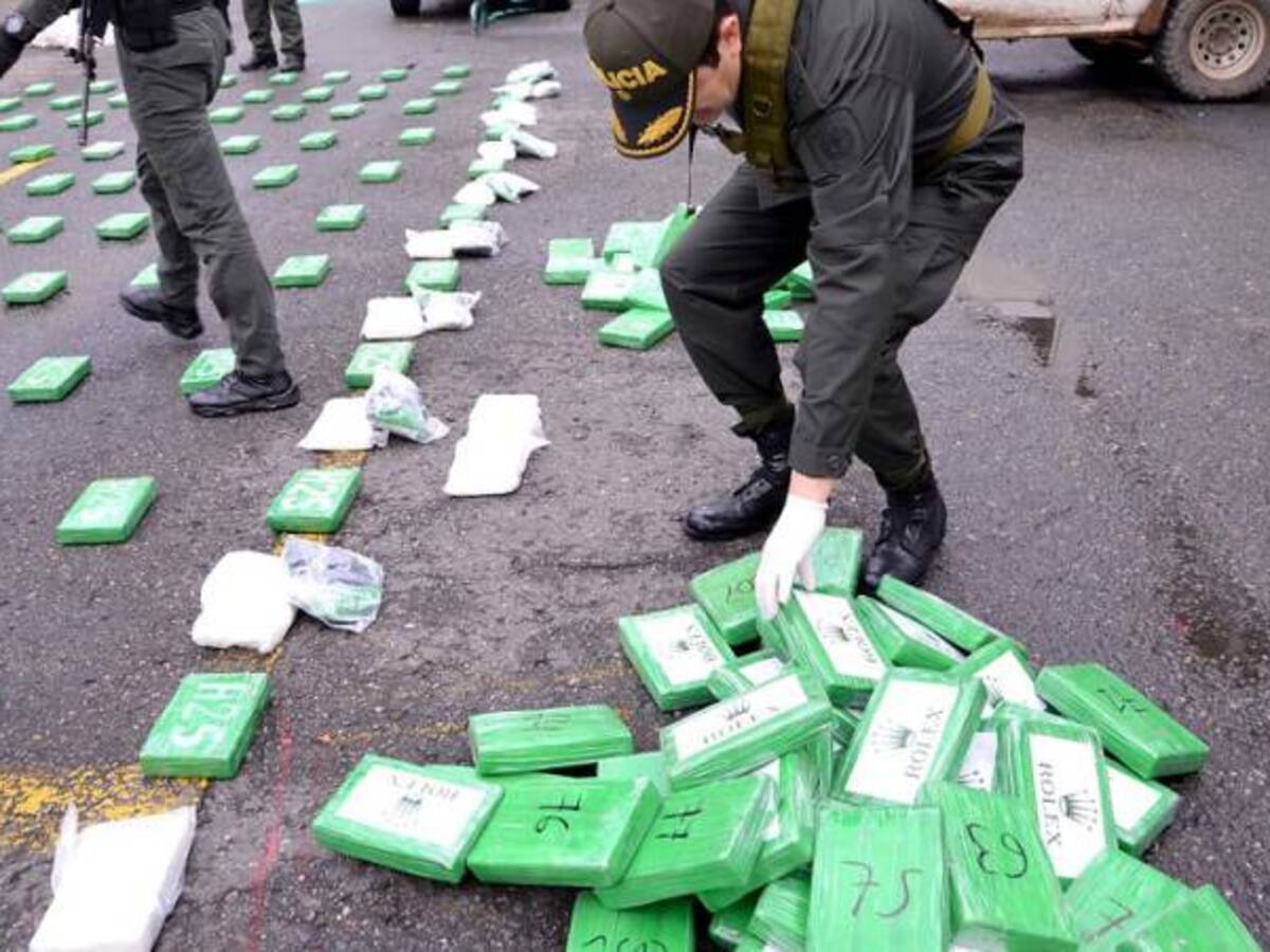 Más 700 kilos de marihuana incautó la Policía del Tolima