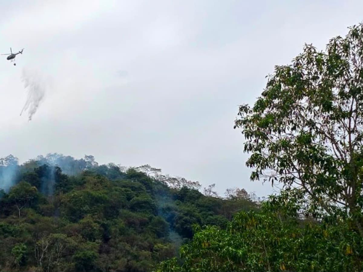 Cundinamarca registró en un día 12 incendios forestales: tres continúan activos